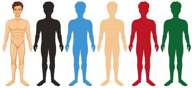 Man and different silhouette color bodies