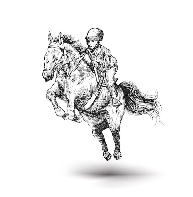 馬術競技のハードルを飛び越える馬の男ライダー