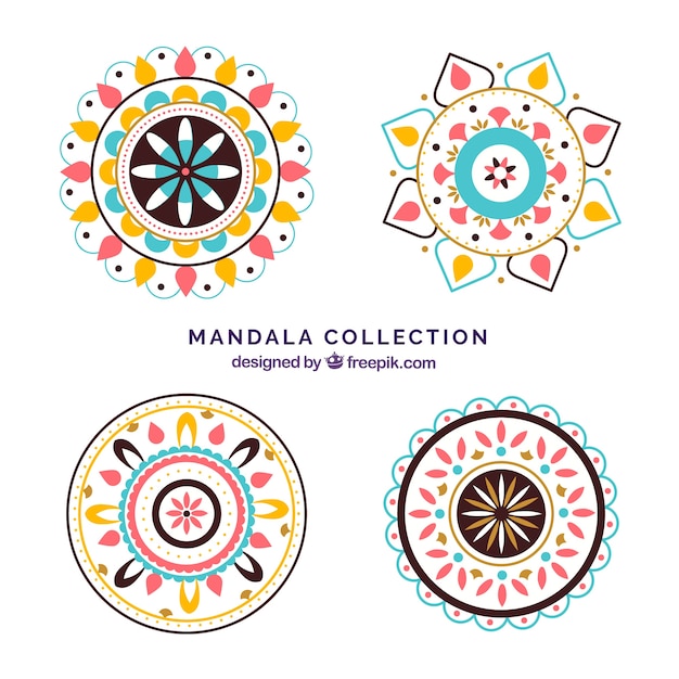 Mandala di colori confezionati in design piatto