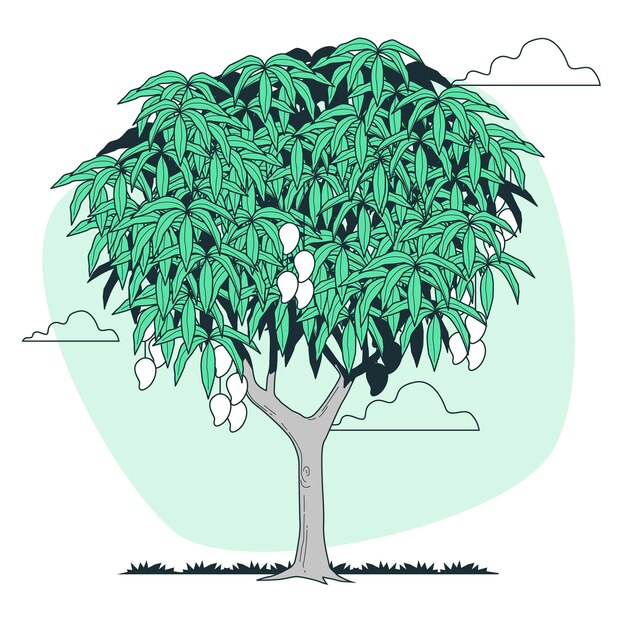 Mango tree concept illustration