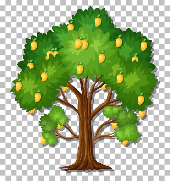 Бесплатное векторное изображение Манговое дерево на прозрачном фоне