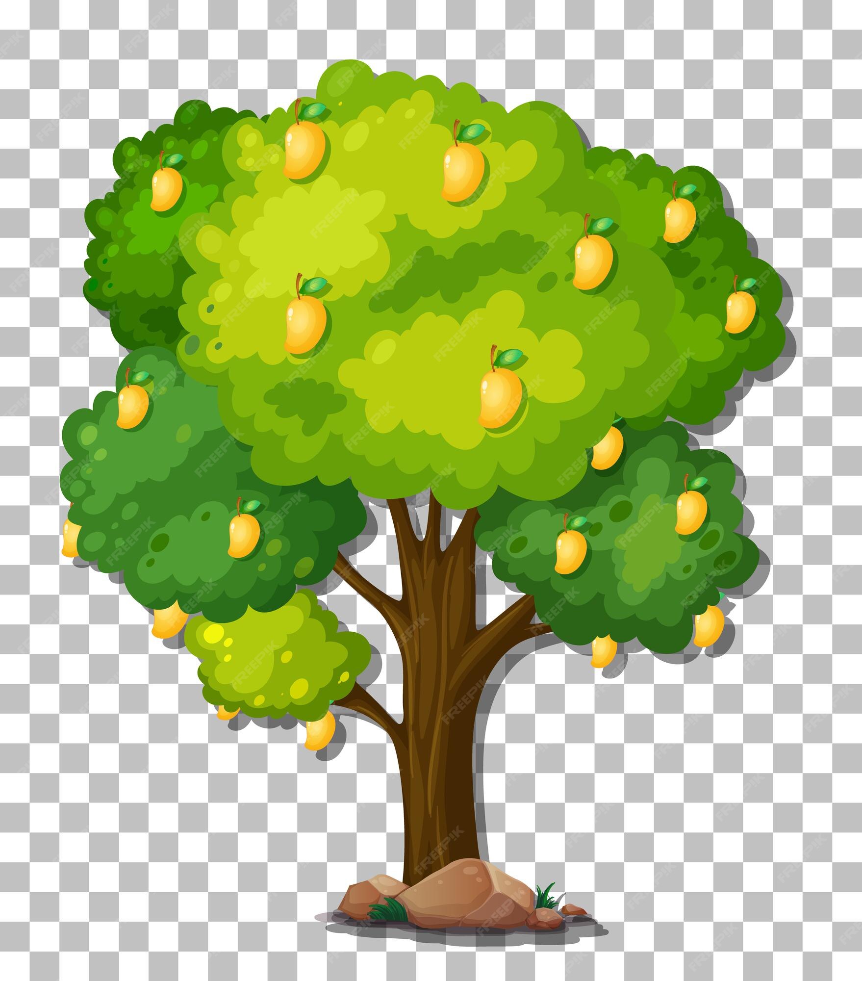 Free Vector | Mango tree on transparent background Free Vector | Mango tree on transparent background