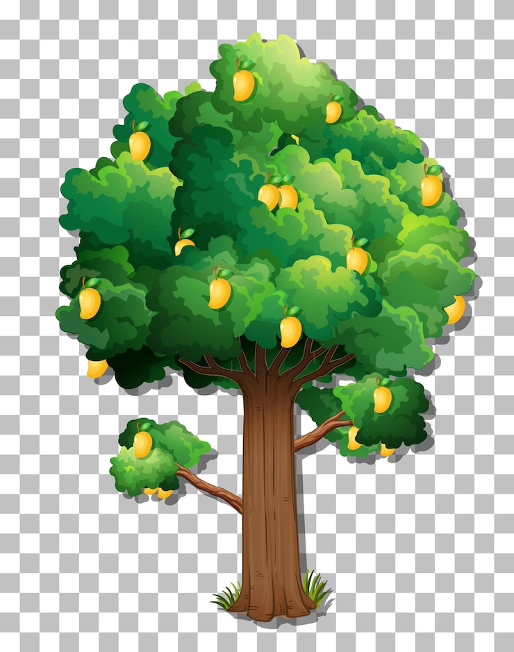 Free Vector mango tree on transparent background