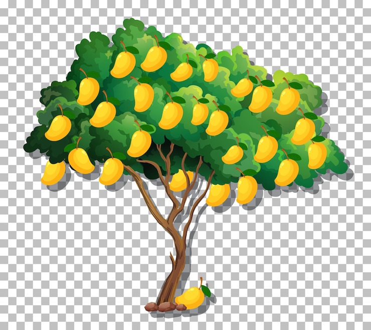 Free Vector mango tree on transparent background