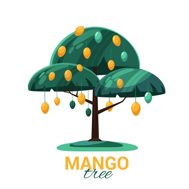 Mango tree with fruits and leaves illustrated