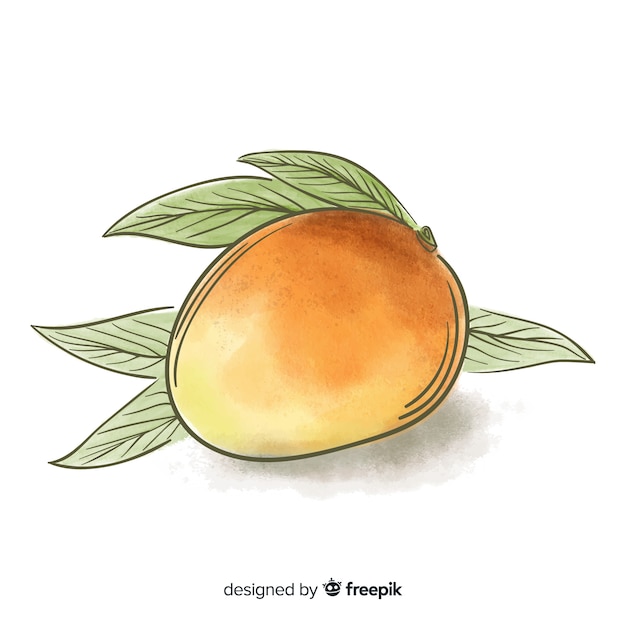 Free vector mangos