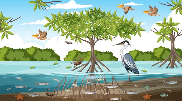 Бесплатное векторное изображение Сцена пейзажа мангрового леса в дневное время