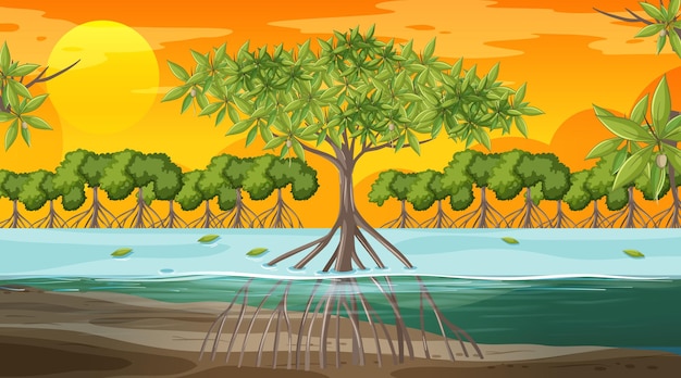 Бесплатное векторное изображение Сцена пейзажа мангрового леса во время заката