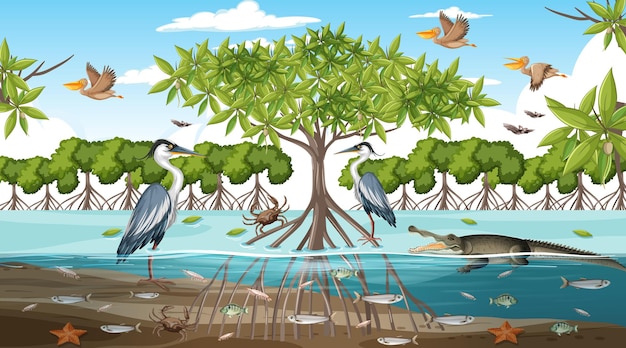 Free vector mangrove forest landscape scene at daytime with many different animals