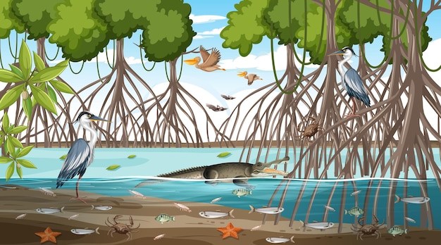 Free vector mangrove forest landscape scene at daytime with many different animals