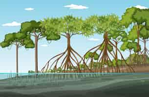 Free vector mangrove forest landscape scene at daytime