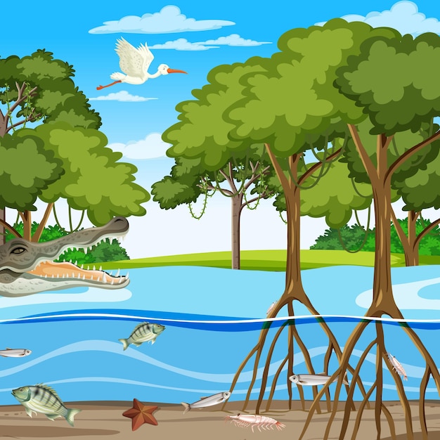 Free vector mangrove forest scene at daytime with animals in underwater