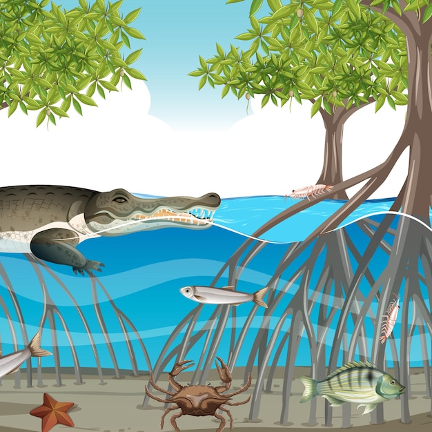 Mangrove forest scene at daytime with animals in the water