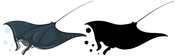 Free Vector manta ray characters and its silhouette on white 