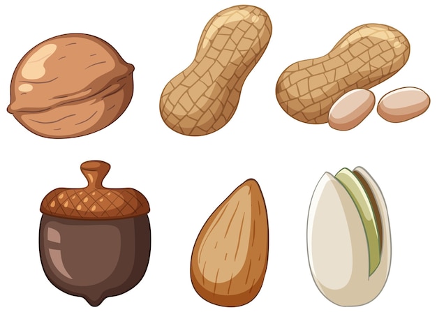 Many acorns walnuts almonds peanuts pistachios cartoon style