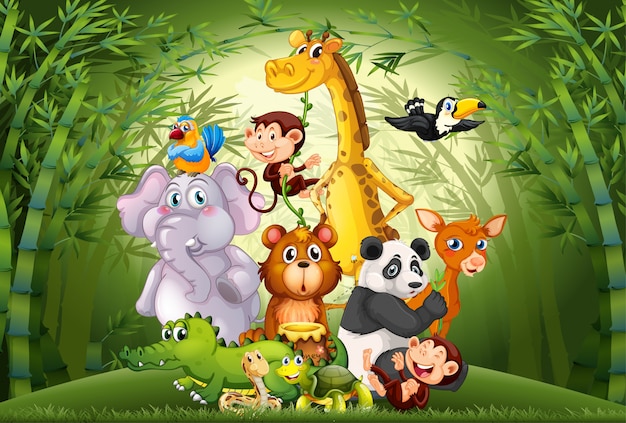 Molti animali nella foresta di bambù