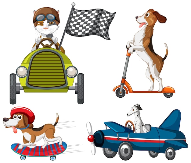 Free vector many animals driving car plane and playing skate