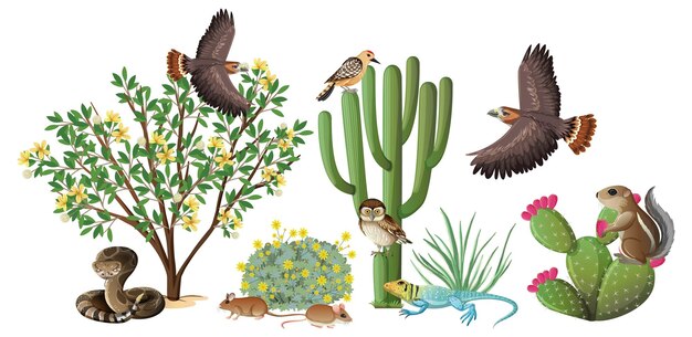 Many animals in the garden