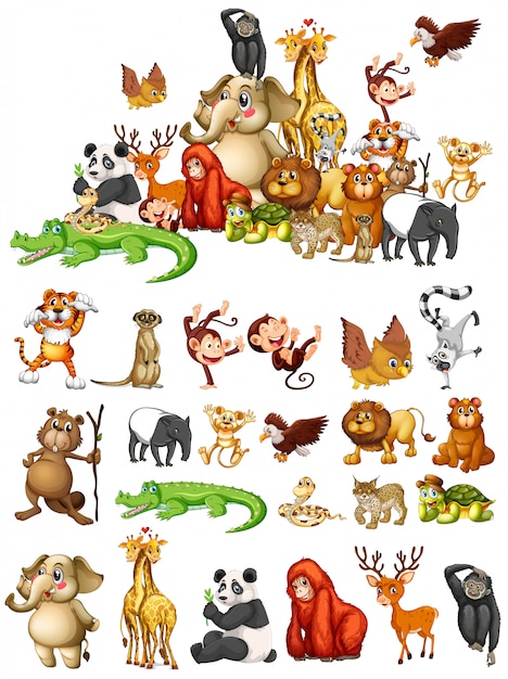 Free vector many animals