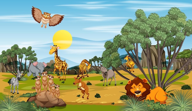 Many different animals in the forest scene