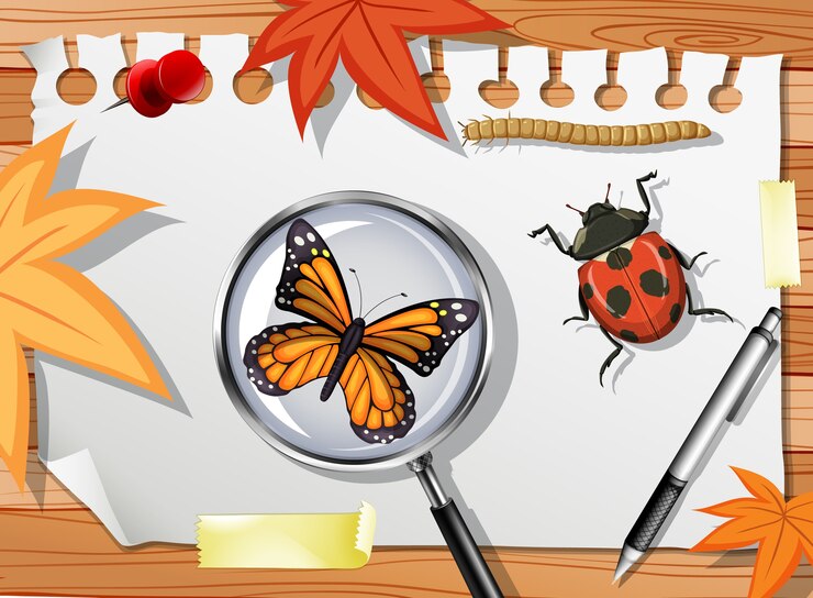 Regularly Inspect and Repair Screens