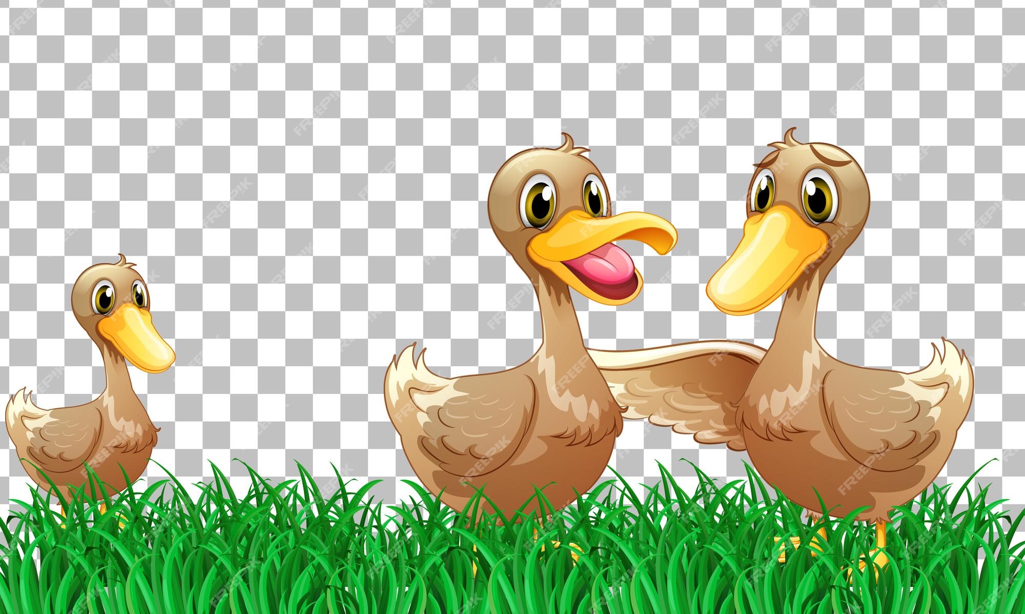Page 4 | Duck Clipart Images - Free Download on Freepik Page 4 | Duck Clipart Images - Free Download on Freepik