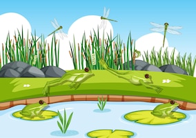 Many green frogs and dragonfly in the pond scene