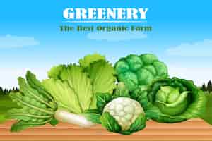 Бесплатное векторное изображение Много видов зеленых овощей
