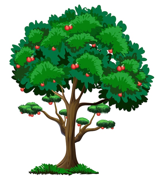 Бесплатное векторное изображение Многие красные яблоки на дереве, изолированные на белом фоне