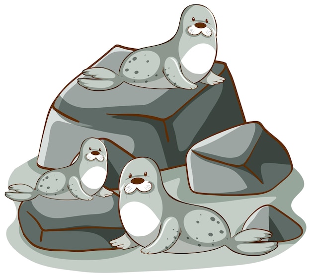 Free vector many seals on the rocks