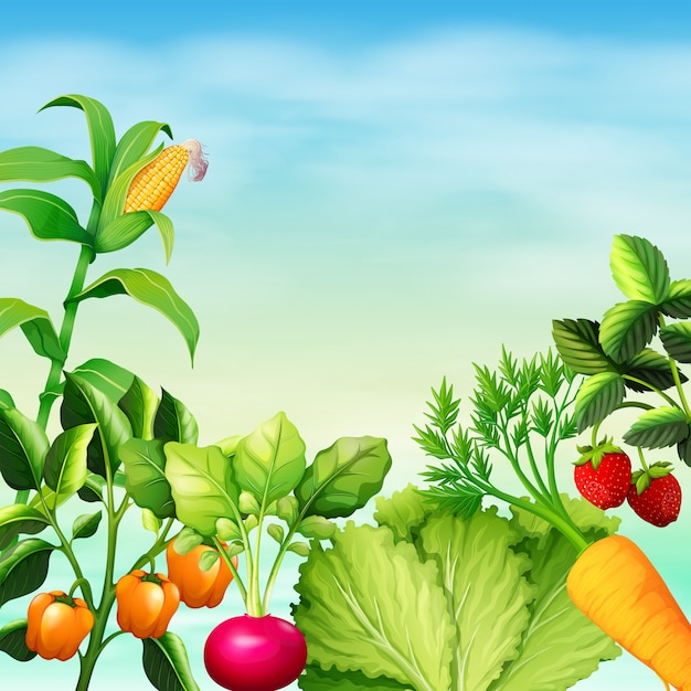 Free vector many types of vegetables