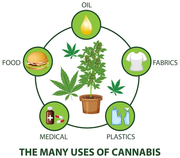 many-uses-cannabis-diagram_1308-120359.jpg