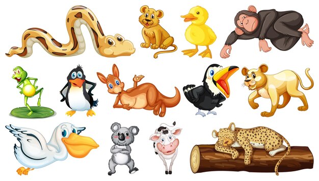 Many wild animals on white background