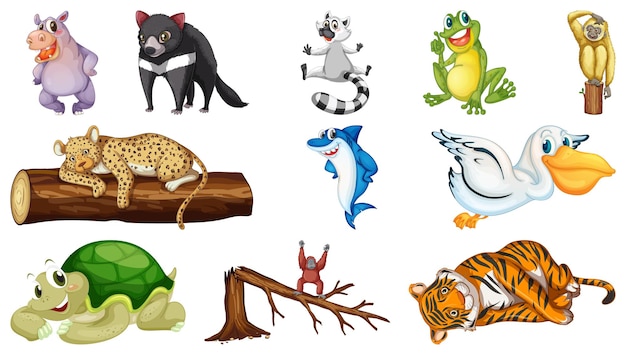 Free vector many wild animals on white background