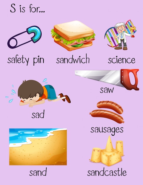 Free vector many words for letter s