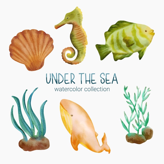 Морская жизнь Милый элемент Животная жизнь в подводном море Подводное животное и рыба