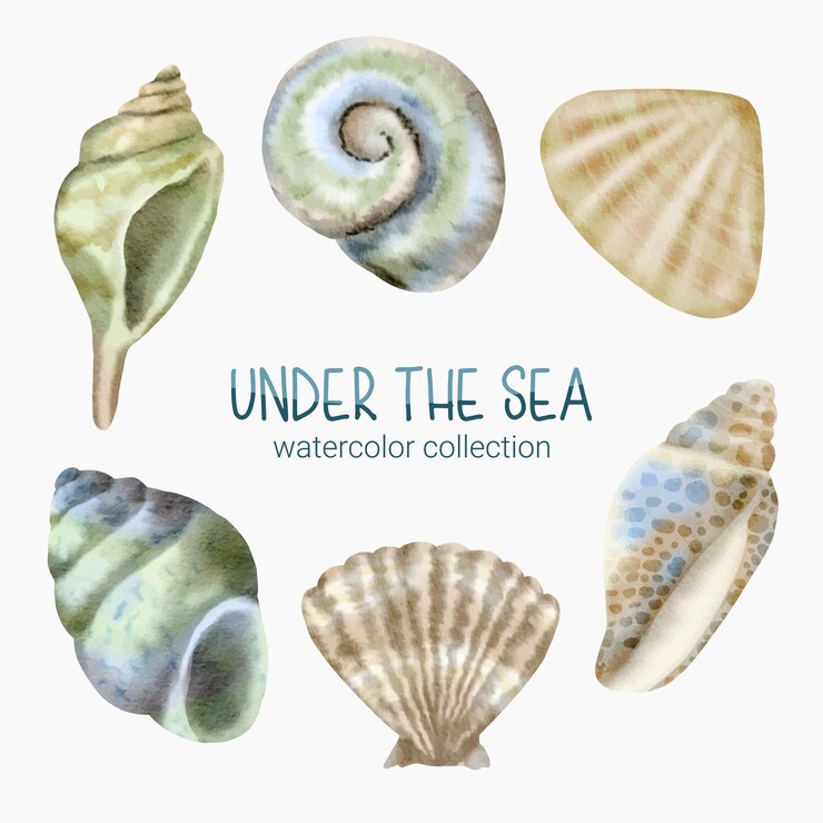 Free Vector marine life cute element animal life in under sea underwater animal creature and shellfish
