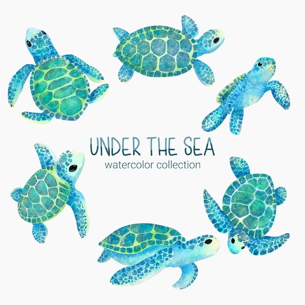 Marine Life Cute element Animal Life in under sea Underwater animal creature and turtle