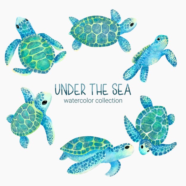 Marine Life Cute element Animal Life in under sea Underwater animal creature and turtle