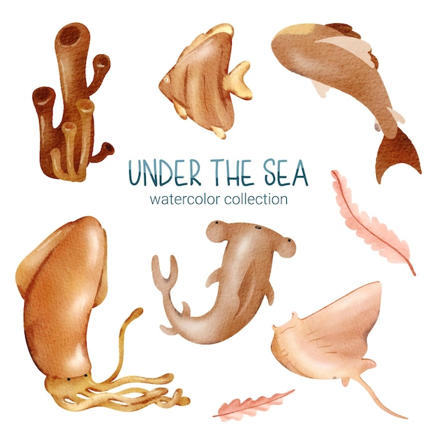 海洋生物かわいい要素海中の動物の生活世界水中の動物の生き物と魚タコサメシュモクザメエンゼルフィッシュアカエイ藻サンゴベクトル漫画水彩画のイラスト