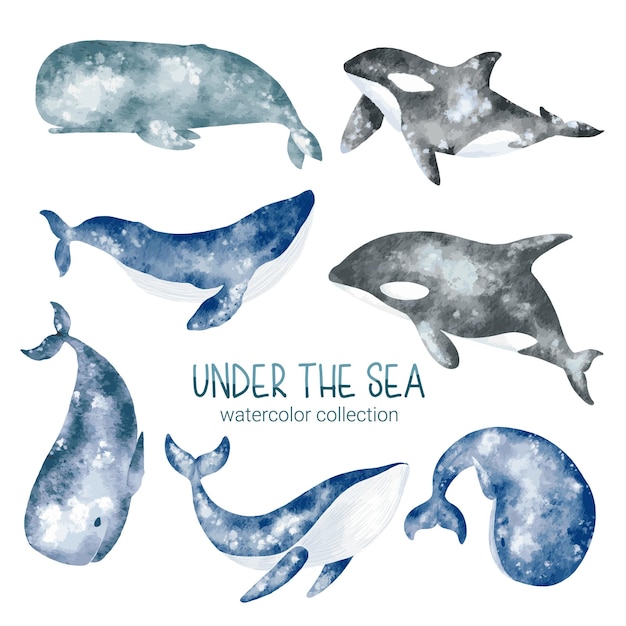 해양 생물 귀여운 요소 바다 세계에서 동물의 삶 수중 동물 생물과 물고기 고래 오카 벡터 만화 수채화 그림