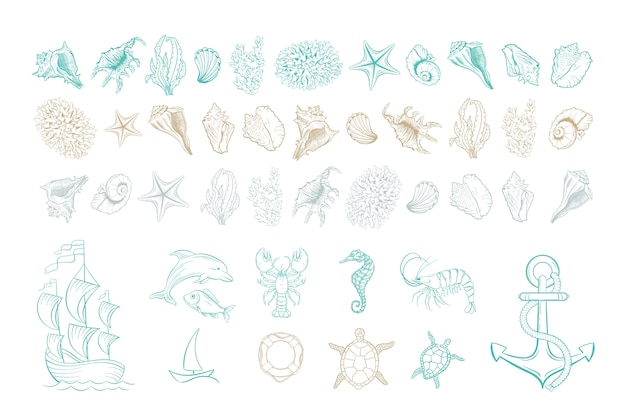 海洋ラインアートアイコン、海と海のビーチの貝殻