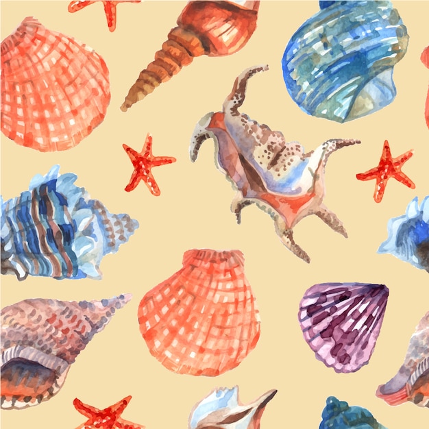 Marine shells and starfish on the sea beach summer vacation wallpaper 