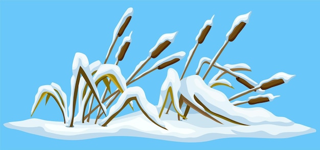 눈 아래 습지 갈대 풀 늪 부들 겨울 부러진 잡초와 눈 더미