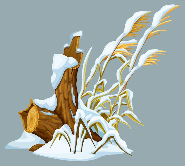Vettore gratuito erba del moncone della canna palustre sotto la neve tife della palude inverno cumuli di neve dell'erbaccia dell'albero rotto