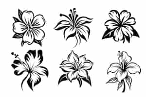 Free vector mascot of a beautiful tropical flower collection