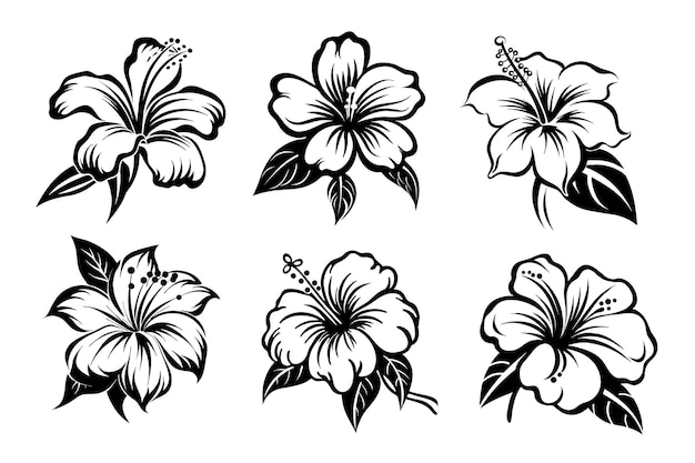 Hibiscus flower clip art Vectors & Illustrations for Free Download