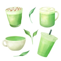 Matcha tea collection illustration