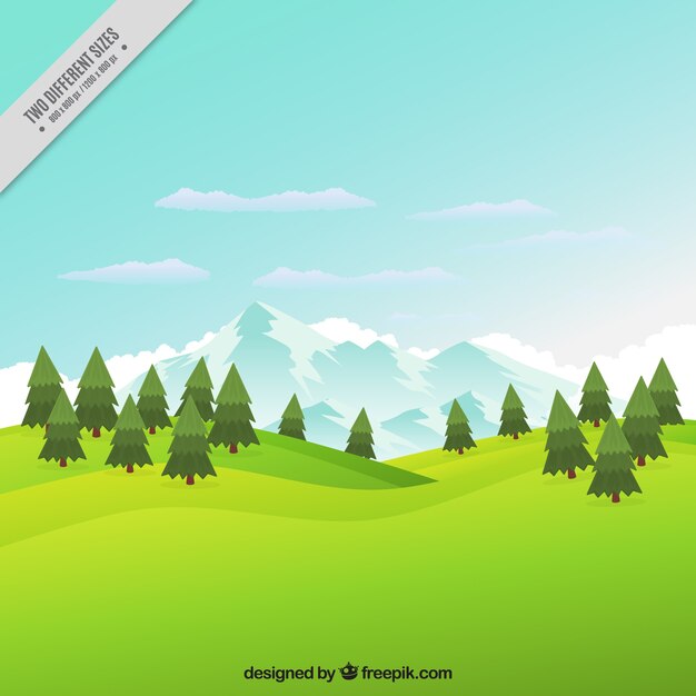 Meadow background with pines