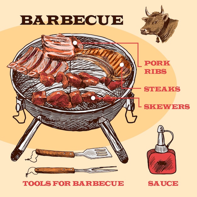 Vettore gratuito grill bbq set sketch infographic con costole di maiale e bistecca illustrazione vettoriale